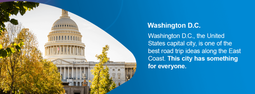 Washington D.C., the United States capital city, is one of the best road trip ideas along the East Coast. This city has something for everyone.
