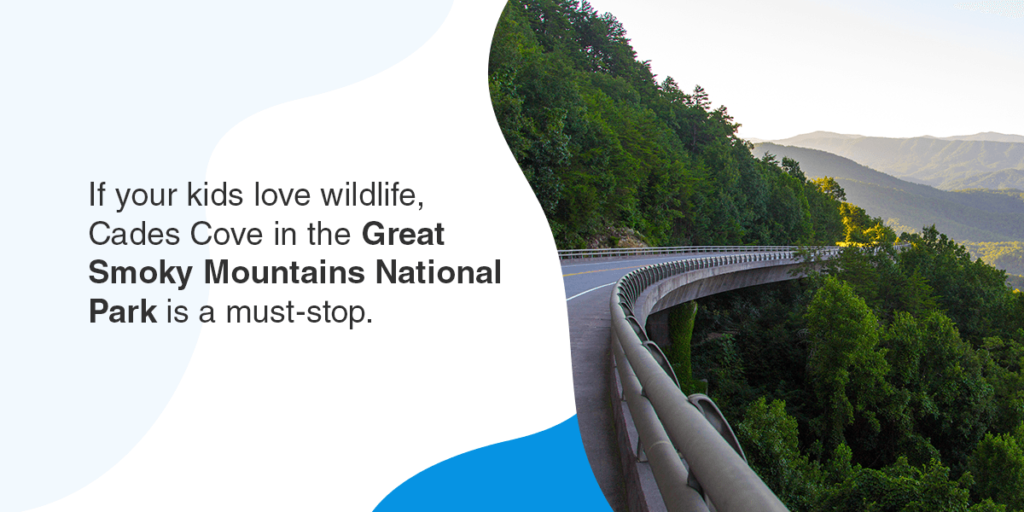 If your kids love wildlife, Cades Cove in the Great Smoky Mountains National Park is a must-stop. 