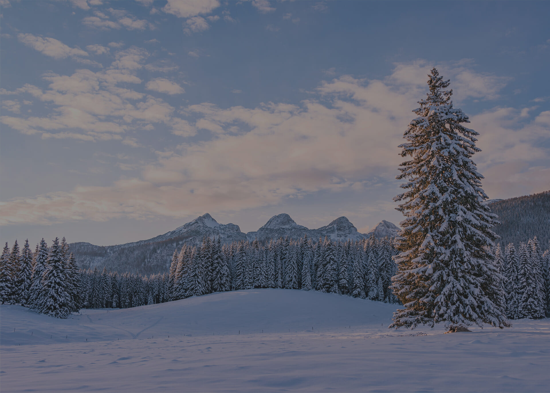 Winter Road Trip Ideas