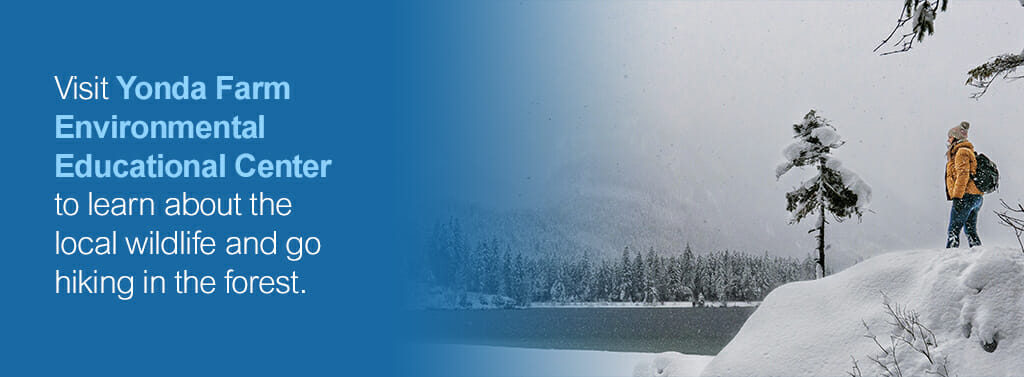  Visit Yonda Farm Environmental Educational Center to learn about the local wildlife and go hiking in the forest. 