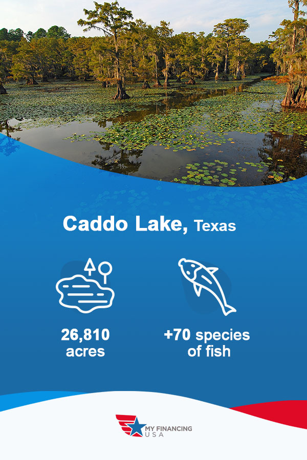 Caddo Lake, Texas - The massive Caddo Lake covers 26,810 acres and houses over 70 species of fish.